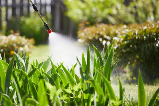 Tamper-Resistant Bait Stations for Rodents in East Lexington
