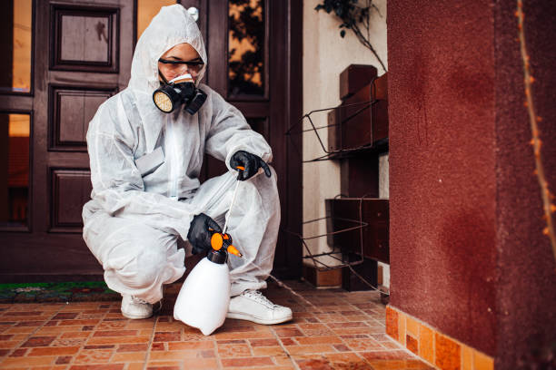 Attic and Crawl Space Rodent Treatment in East Lexington